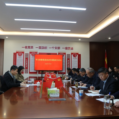 华力控股党委召开2024年度组织生活会