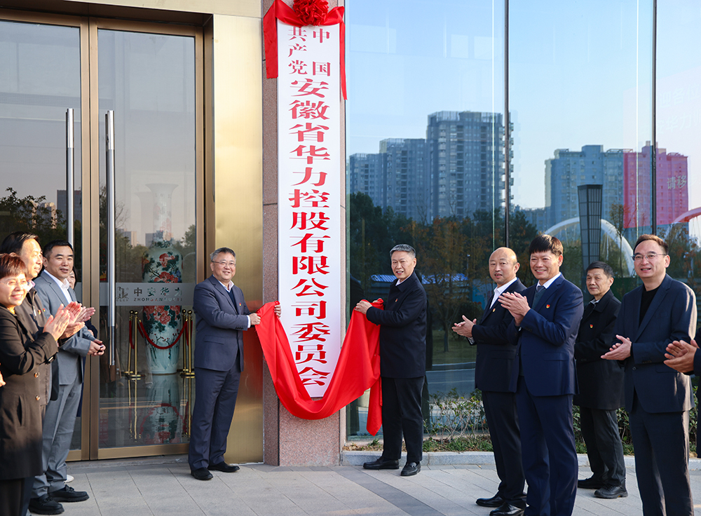 中国共产党安徽省华力控股有限公司委员会揭牌