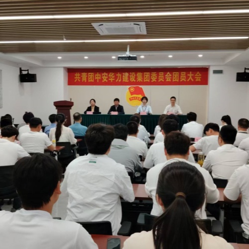 凝聚青春力量  谱写崭新华章  共青团中安华力建设集团委员会团员大会成功举行