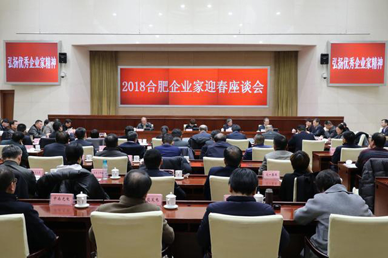 王坤董事长参加2018合肥企业家迎春座谈会作代表发言